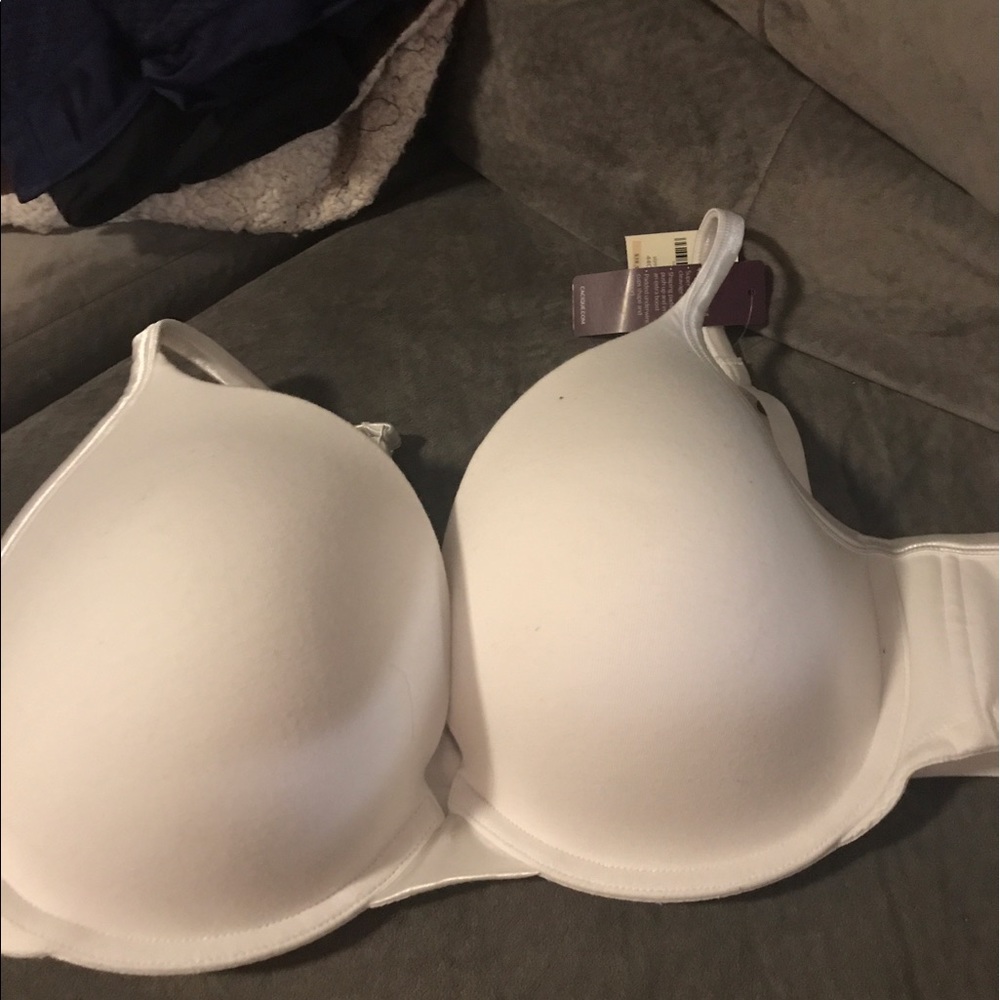 Lane Bryant bra